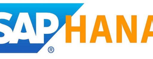 SAP 4/HANA per FNM